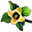 Fleur de kaki x1
