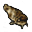 Poisson-chat grillé