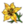 Fleur jaune parfumée