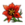 Fleur rouge-sang